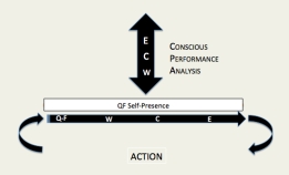 Conscious Performance Analysis