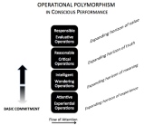 Operational Polymorphism